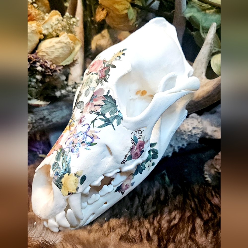 Floral Decorated Animal Skull